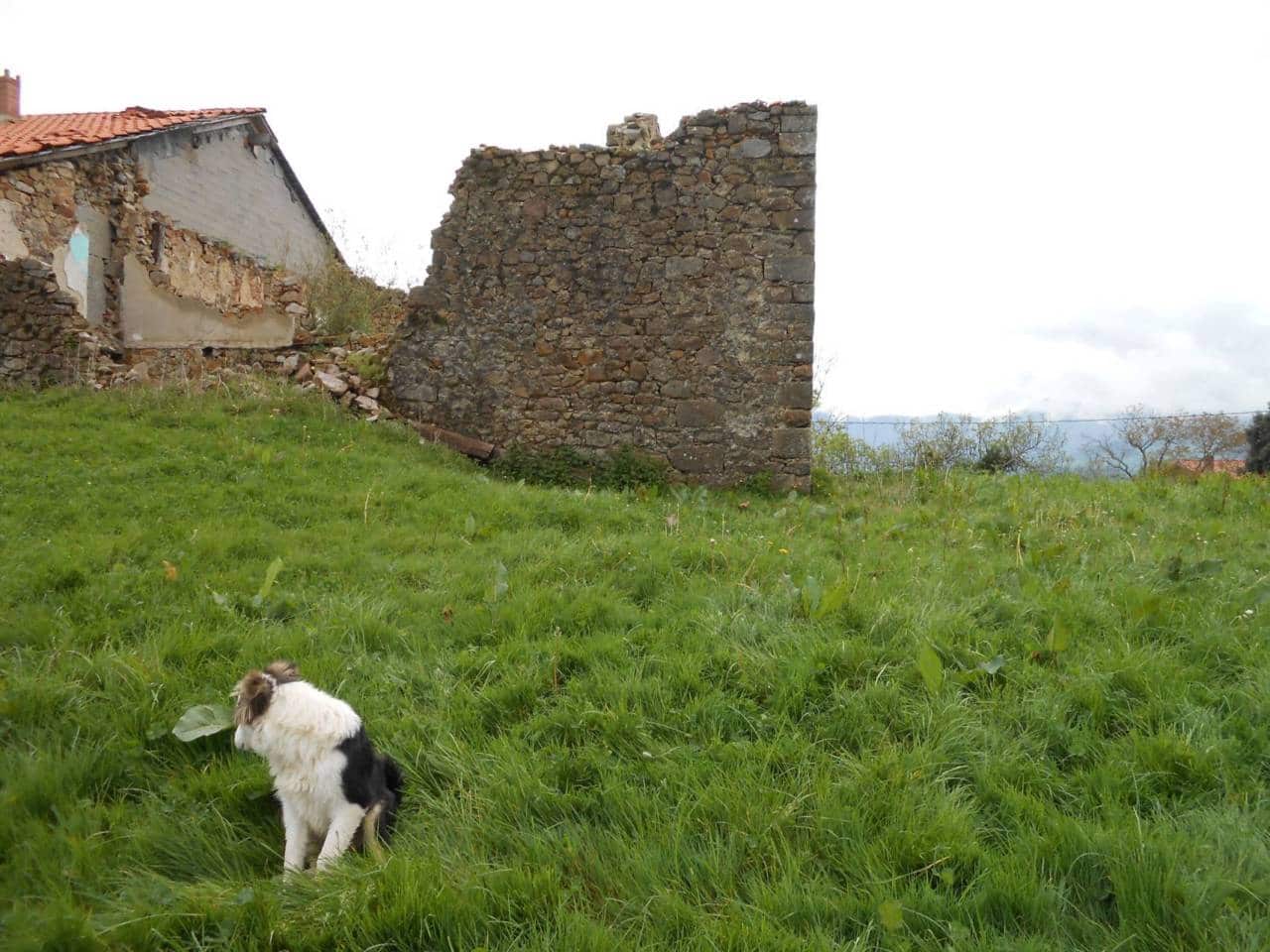 Grunde uden byggetilladelser til salg i Karrantza Harana/Valle de Carranza - € 85.000 (Ref: 942837)