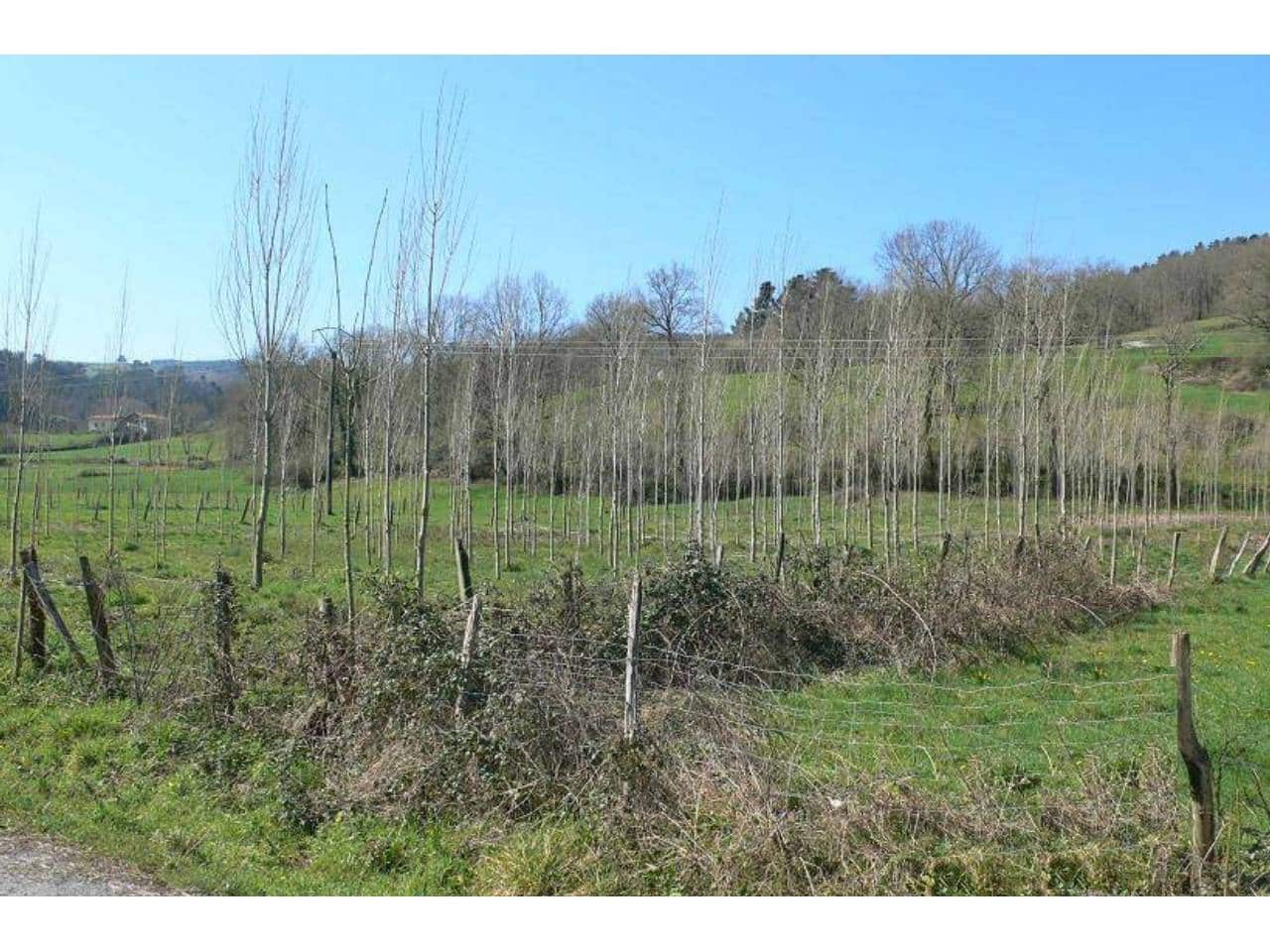 Grunde uden byggetilladelser til salg i Villaverde de Trucios - € 30.000 (Ref: 942843)