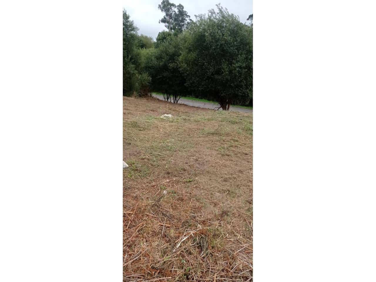 Grunde uden byggetilladelser til salg i San Mames de Meruelo - € 70.000 (Ref: 942850)