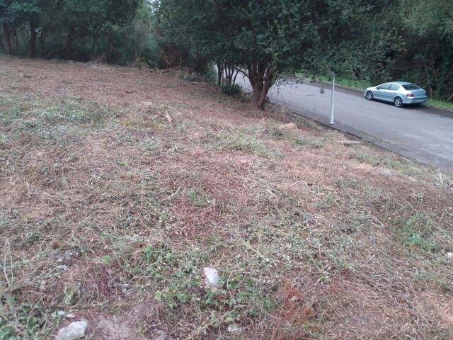 Undeveloped Land for sale in San Mames de Meruelo, Meruelo - € 70,000 (Ref: 942850)