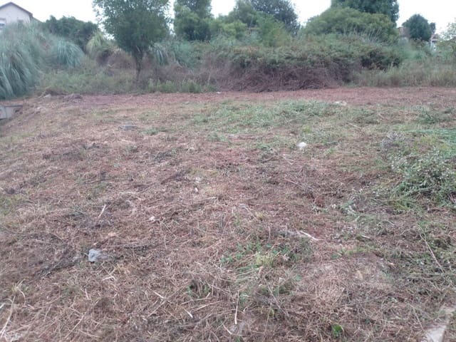 Undeveloped Land for sale in San Mames de Meruelo, Meruelo - € 70,000 (Ref: 942850)