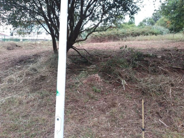 Undeveloped Land for sale in San Mames de Meruelo, Meruelo - € 70,000 (Ref: 942850)