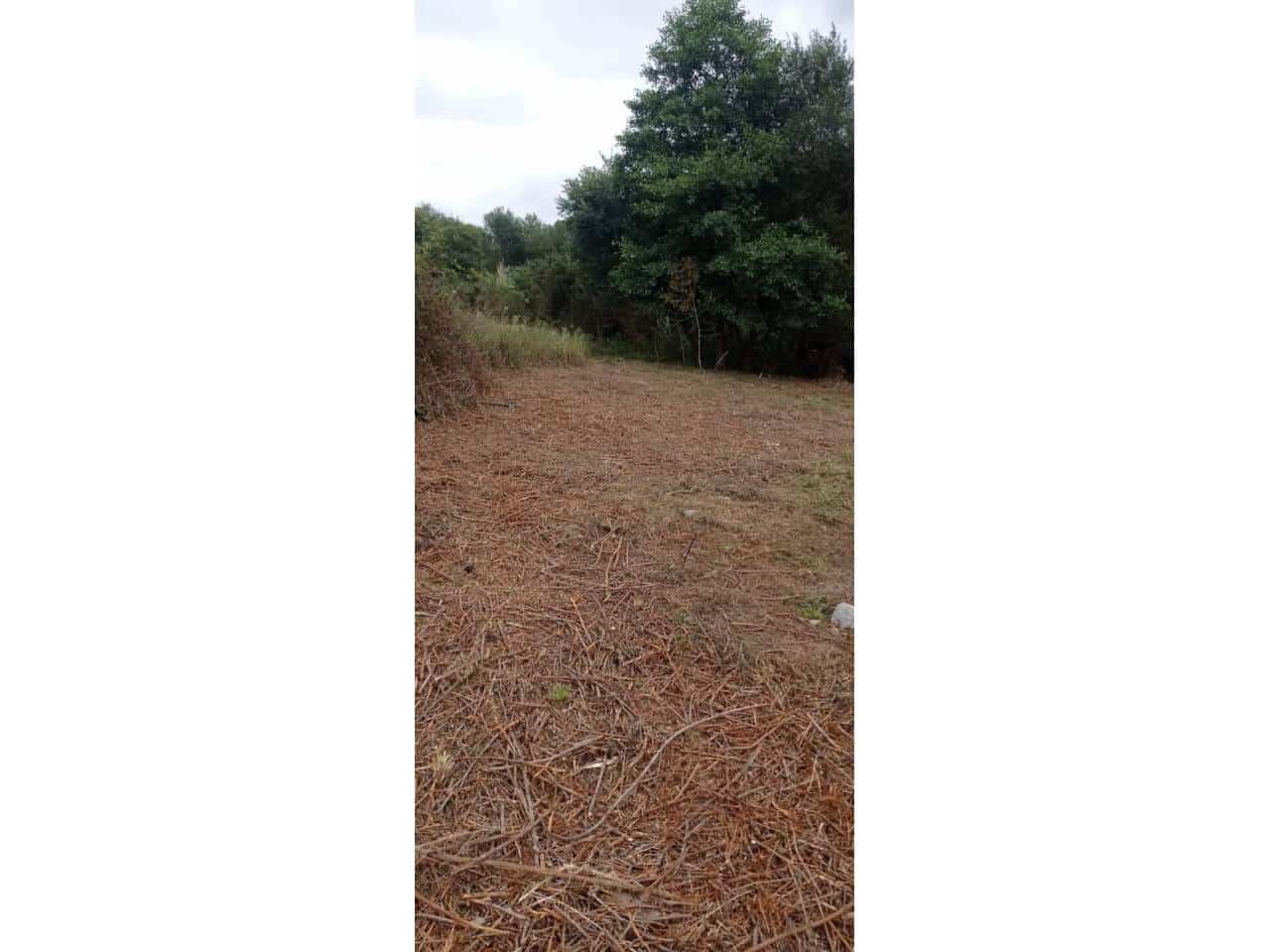 Grunde uden byggetilladelser til salg i San Mames de Meruelo - € 70.000 (Ref: 942850)