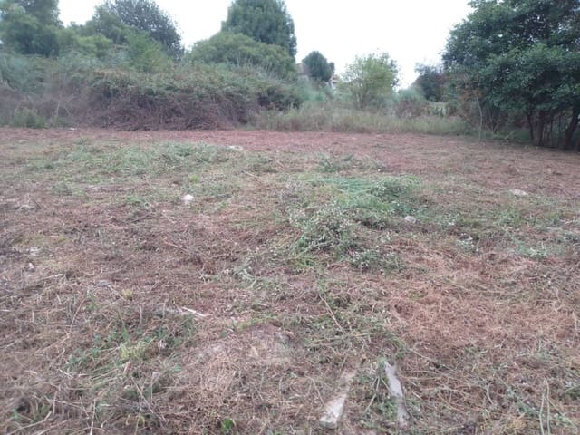 Undeveloped Land for sale in San Mames de Meruelo, Meruelo - € 70,000 (Ref: 942850)