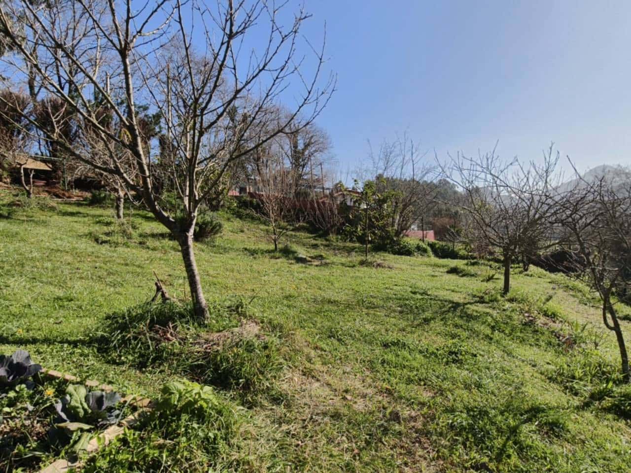 4 Zimmer Villa zu verkaufen in Muskiz - 650.000 € (Ref: 9650716)