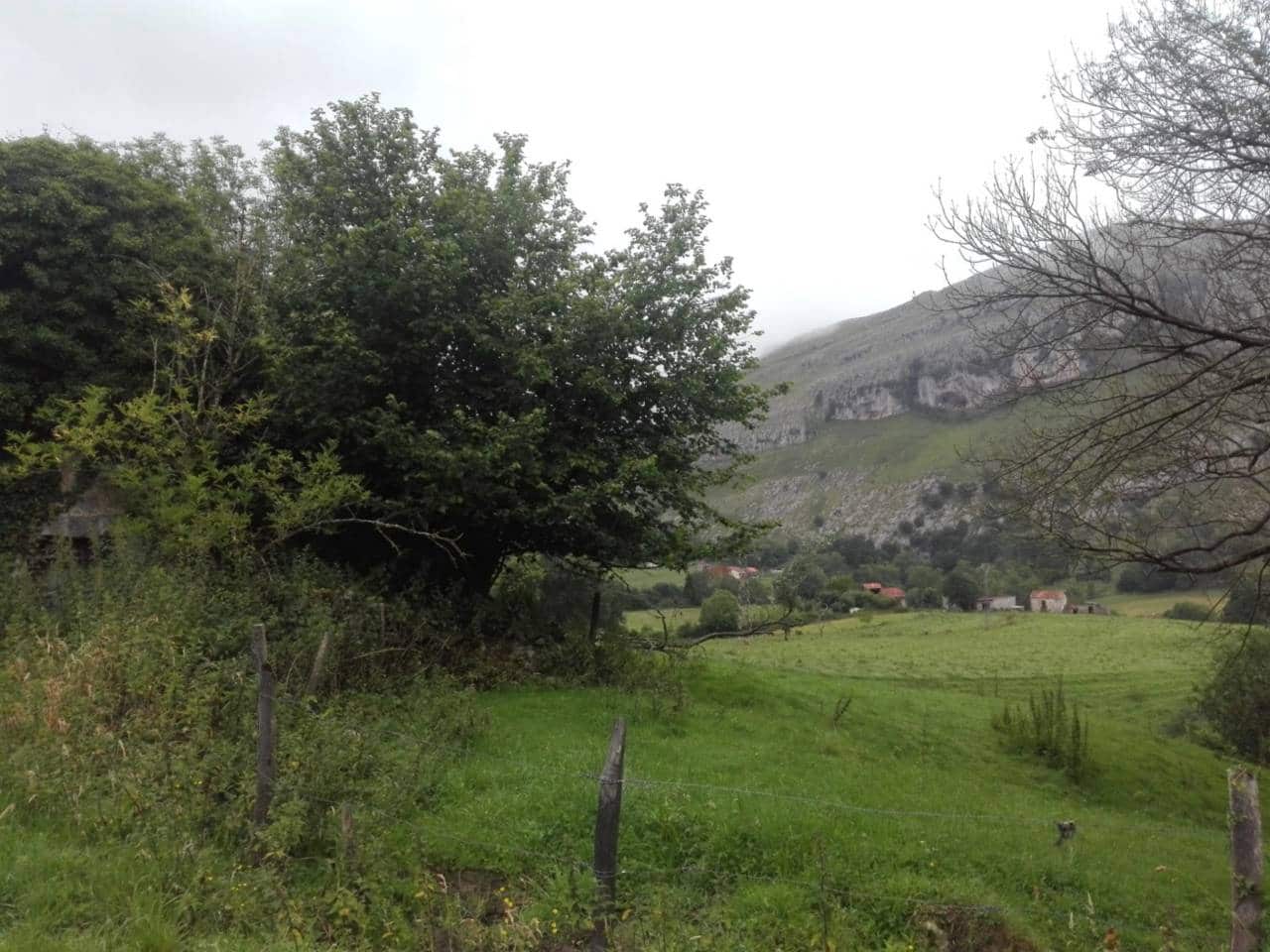 Finca/Landgut zu verkaufen in Ruesga - 58.000 € (Ref: 9714358)