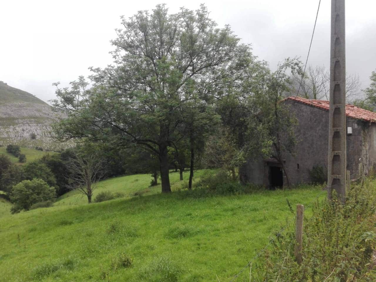 Finca/Landgut zu verkaufen in Ruesga - 58.000 € (Ref: 9714358)