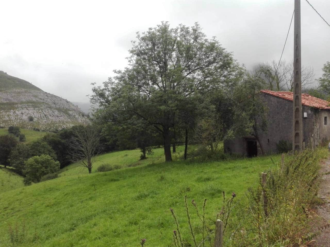 Finca/Landgut zu verkaufen in Ruesga - 58.000 € (Ref: 9714358)
