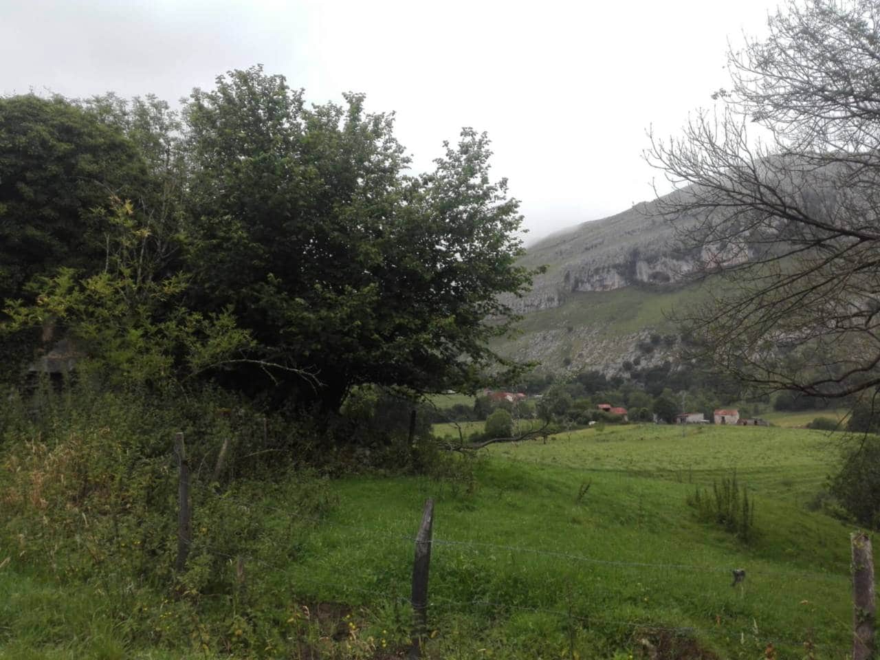 Finca/Landgut zu verkaufen in Ruesga - 58.000 € (Ref: 9714358)