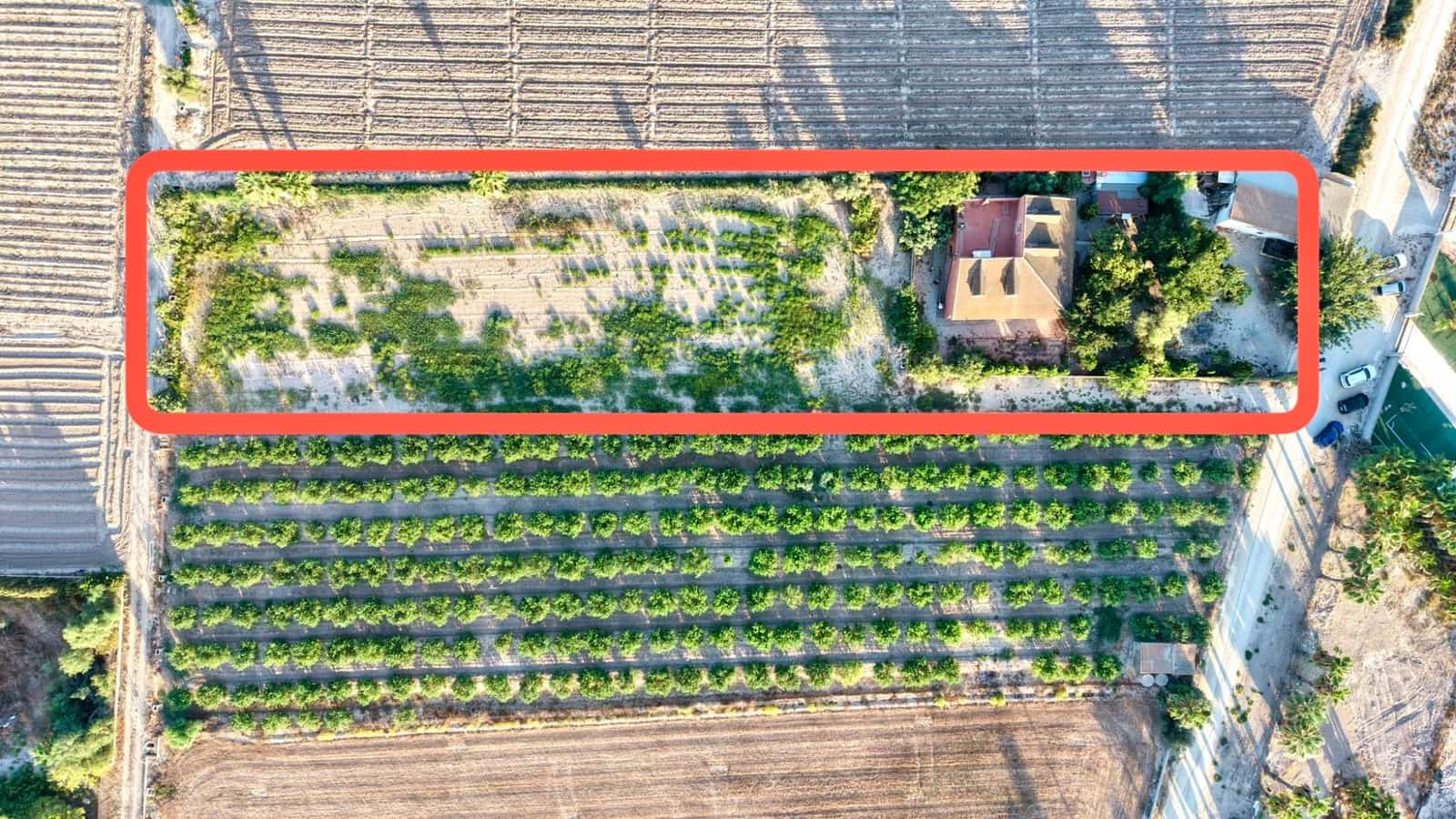 3 Zimmer Finca/Landgut zu verkaufen in Catral - 225.000 € (Ref: 10035011)