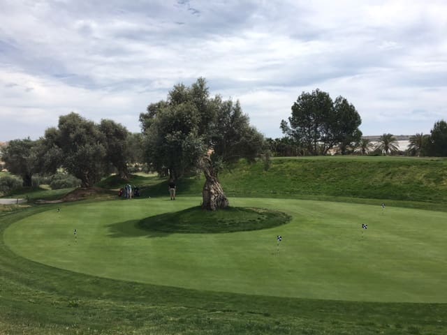 3 sovrum Villa till salu i Algorfa med pool garage - 555 000 € (Ref: 4541565)