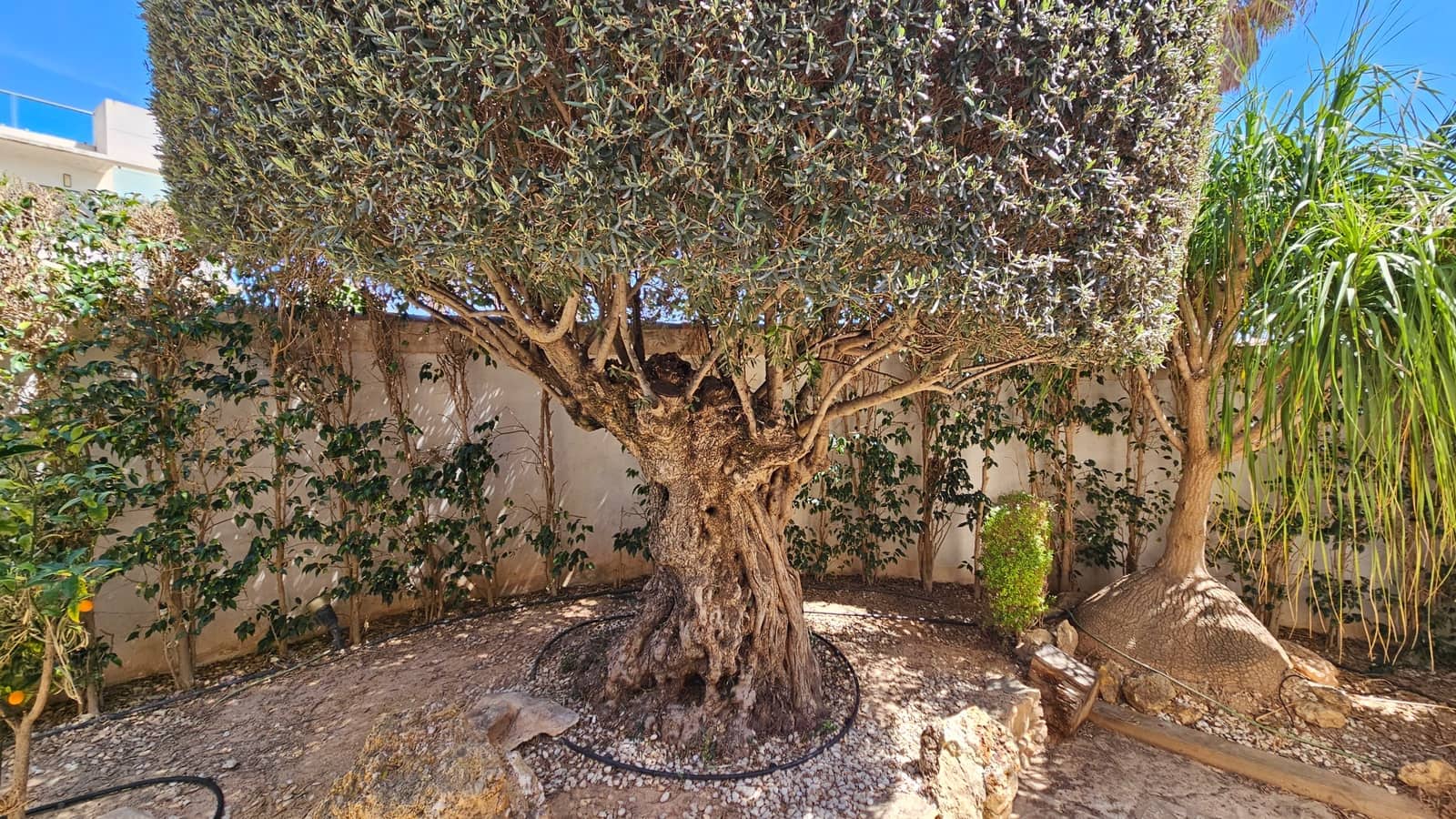 4 makuuhuone Huvila myytävänä paikassa Dona Pepa mukana uima-altaan - 565 000 € (Ref: 9091936)