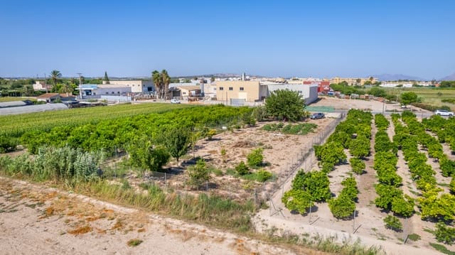 Tontti myytävänä paikassa Formentera del Segura - 45 000 € (Ref: 9159264)