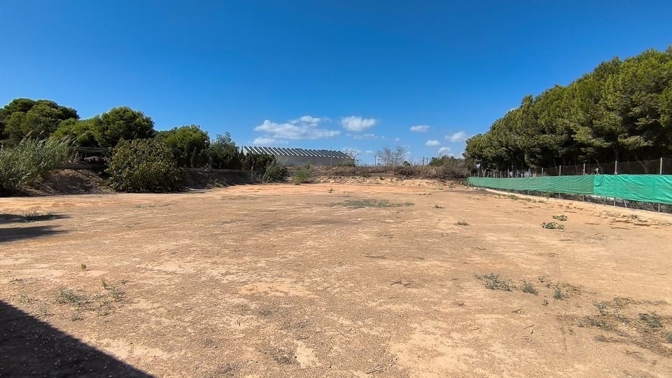 5 camera da letto Finca/Casa di Campagna in vendita in Benijofar con piscina - 435.000 € (Rif: 9278276)