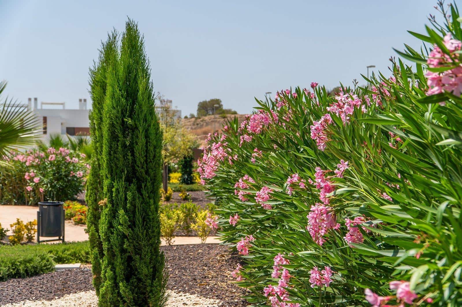 2 soveværelse Lejlighed til salg i Orihuela Costa med swimmingpool garage - € 269.900 (Ref: 9300500)