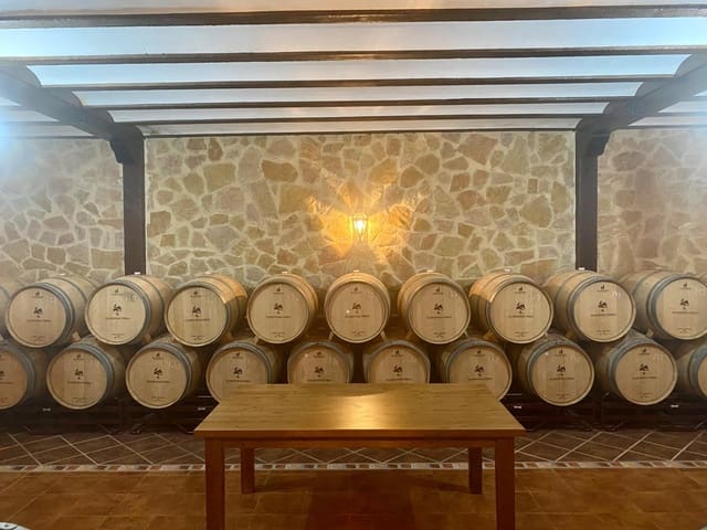 1 soveværelse Virksomhed til salg i Albacete by - € 2.500.000 (Ref: 9349013)