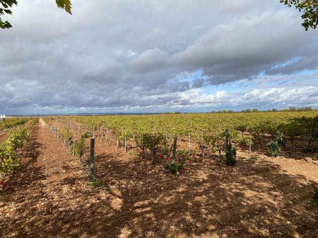 1 soveværelse Virksomhed til salg i Albacete by - € 2.500.000 (Ref: 9349013)