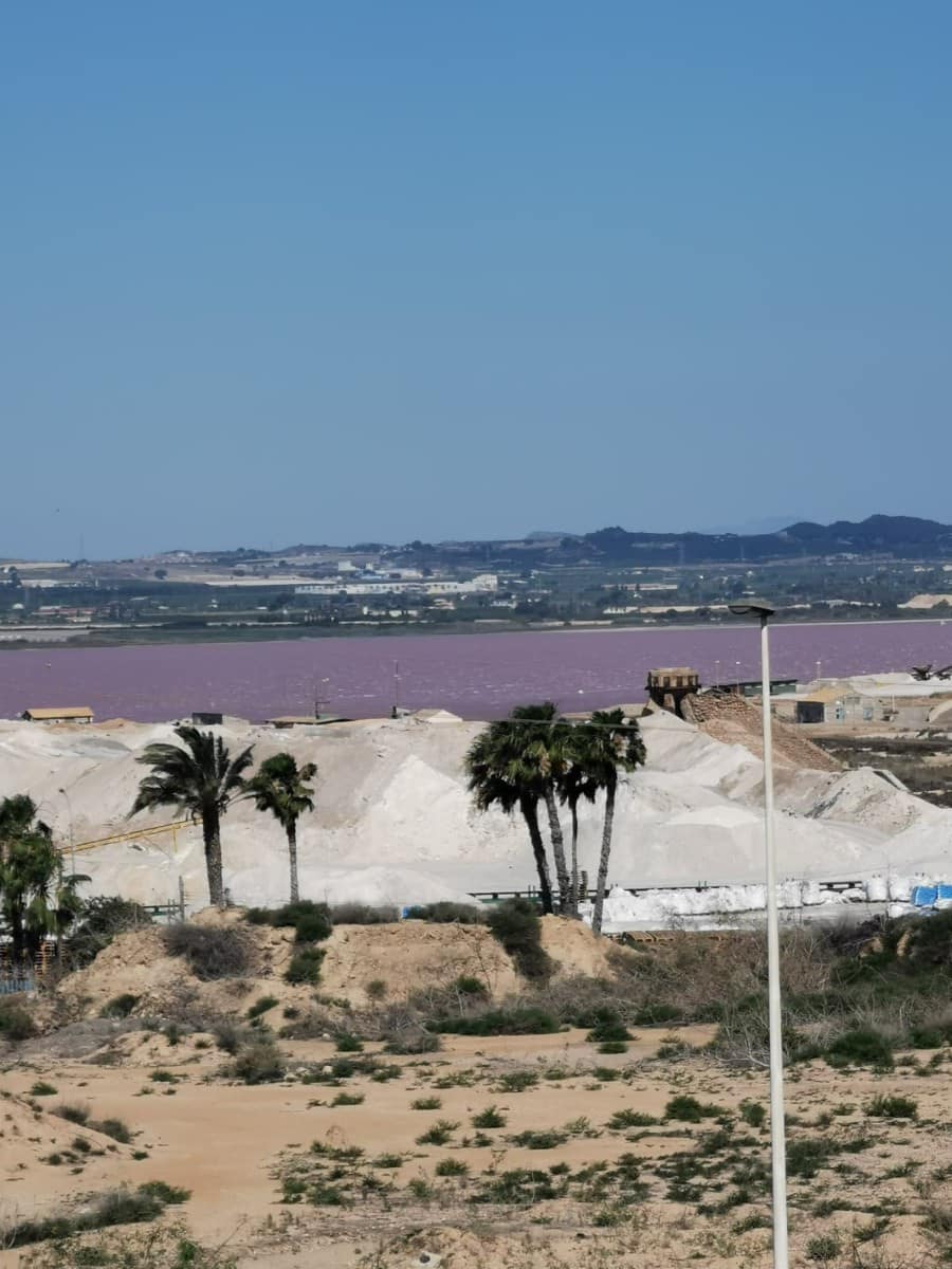 2 Zimmer Apartment zu verkaufen in Torrevieja mit Pool - 133.900 € (Ref: 9610824)