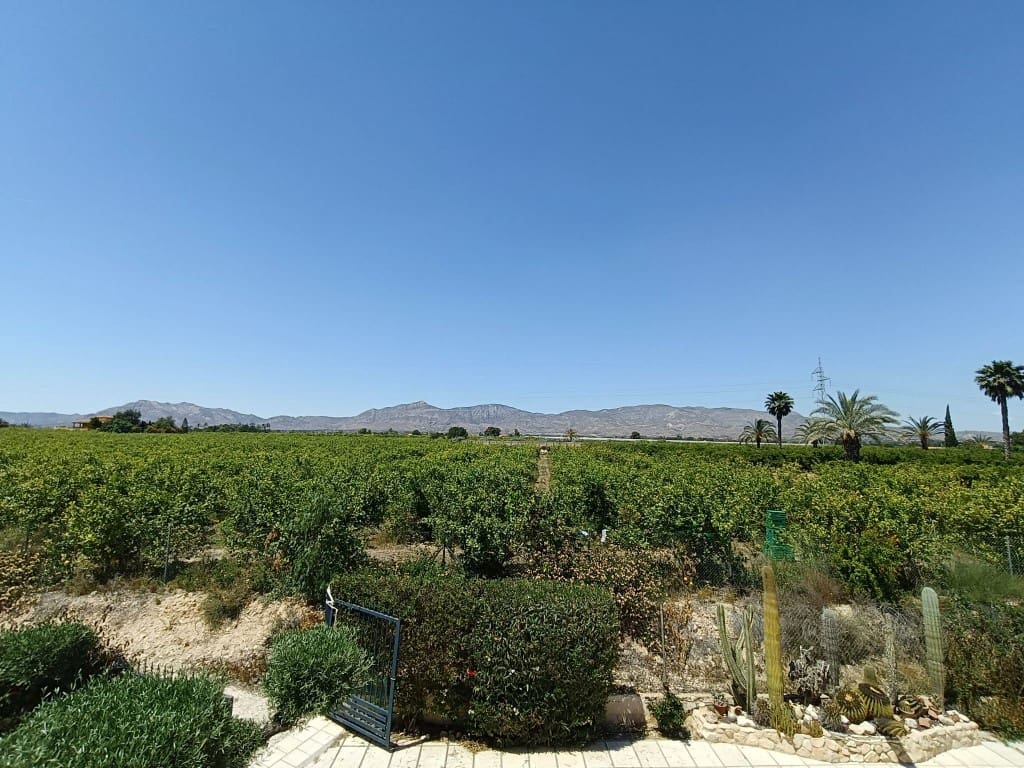 3 camera da letto Finca/Casa di Campagna in vendita in Albatera con piscina - 330.000 € (Rif: 9626366)