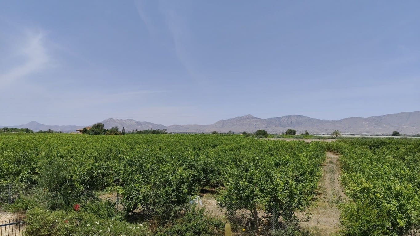 3 camera da letto Finca/Casa di Campagna in vendita in Albatera con piscina - 330.000 € (Rif: 9626366)