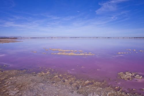 2 sypialnia Willa na sprzedaż w Los Altos z basenem garażem - 290 000 € (Ref: 9704873)