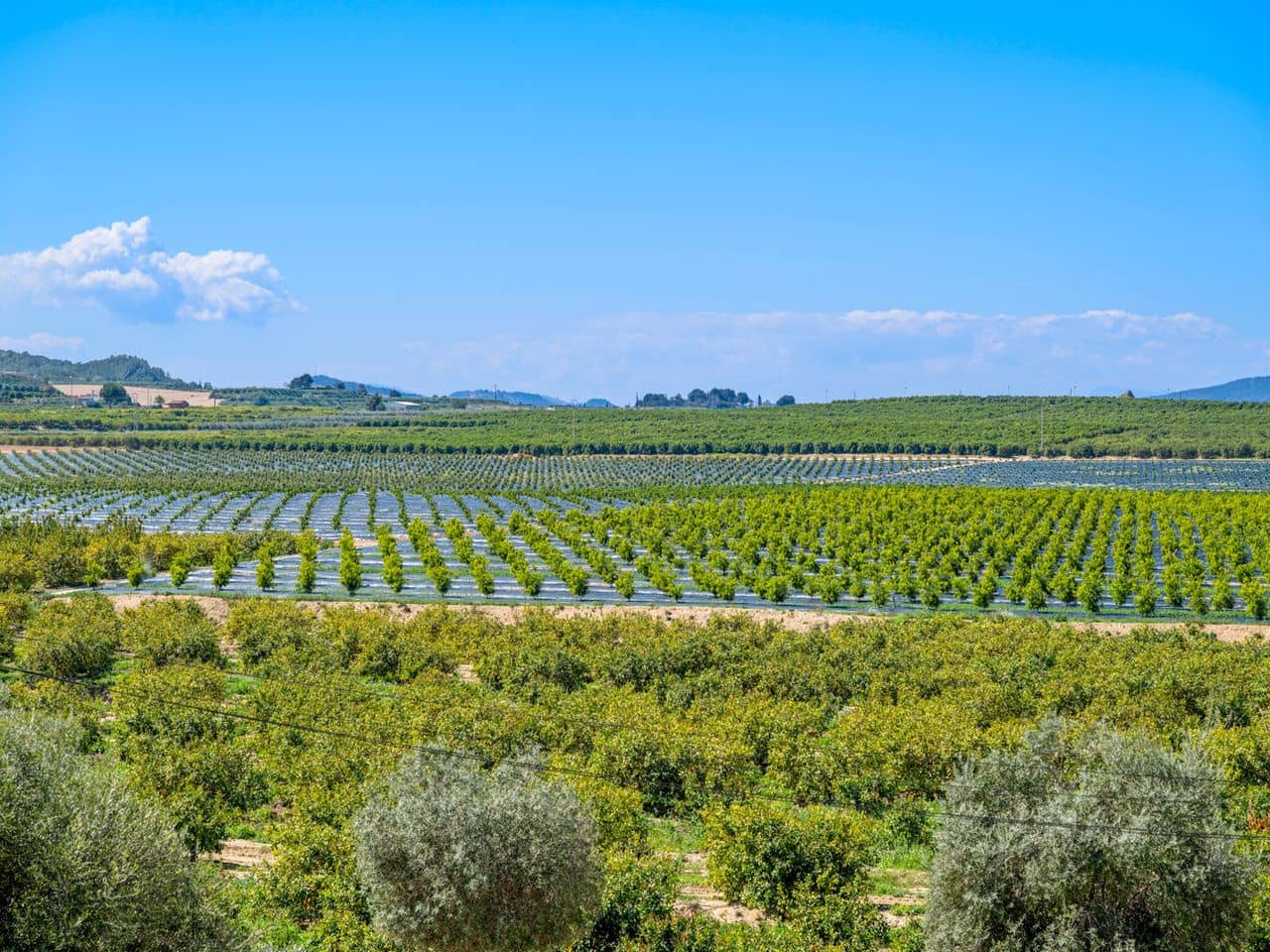 2 bedroom Apartment for sale in Algorfa with pool garage - € 145,000 (Ref: 9714515)