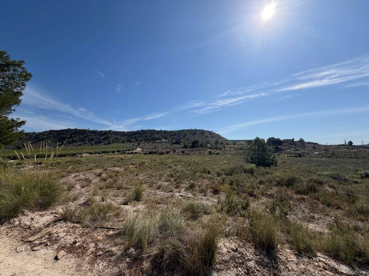 Terrain à Bâtir à vendre à San Miguel de Salinas - 85 000 € (Ref: 9788303)