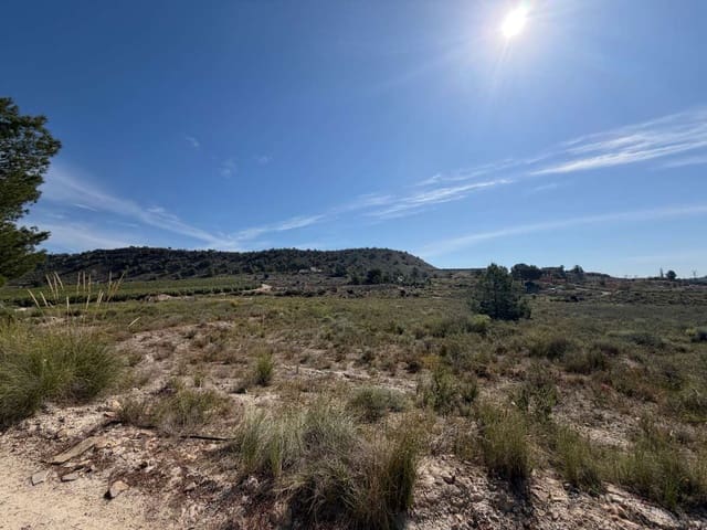 Tontti myytävänä paikassa San Miguel de Salinas - 85 000 € (Ref: 9788303)