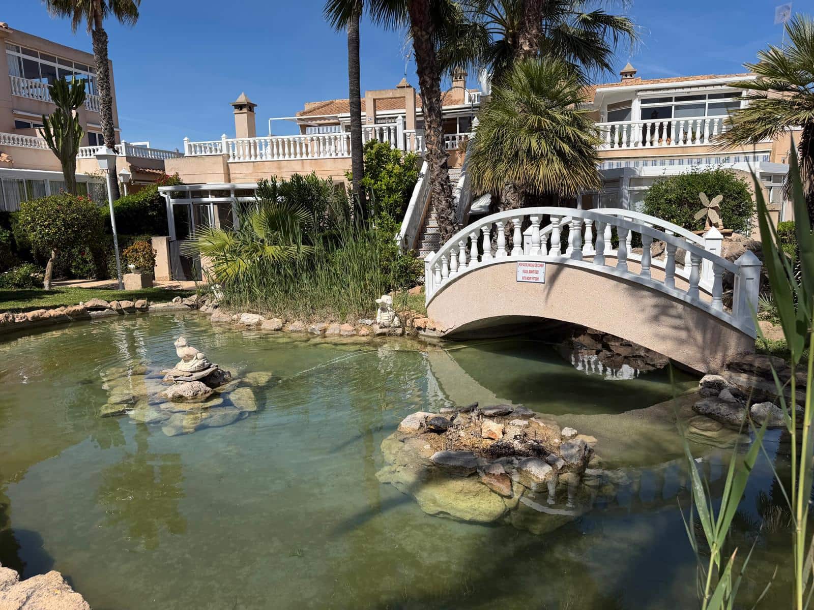 2 quarto Apartamento para venda em Playa Flamenca com piscina - 319 900 € (Ref: 9790791)