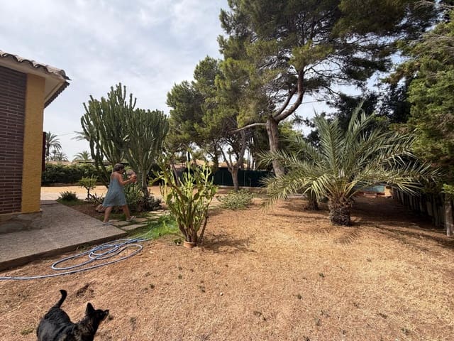 4 Zimmer Villa zu verkaufen in Cabo Roig, Orihuela mit Garage - 3.200.000 € (Ref: 9990203)