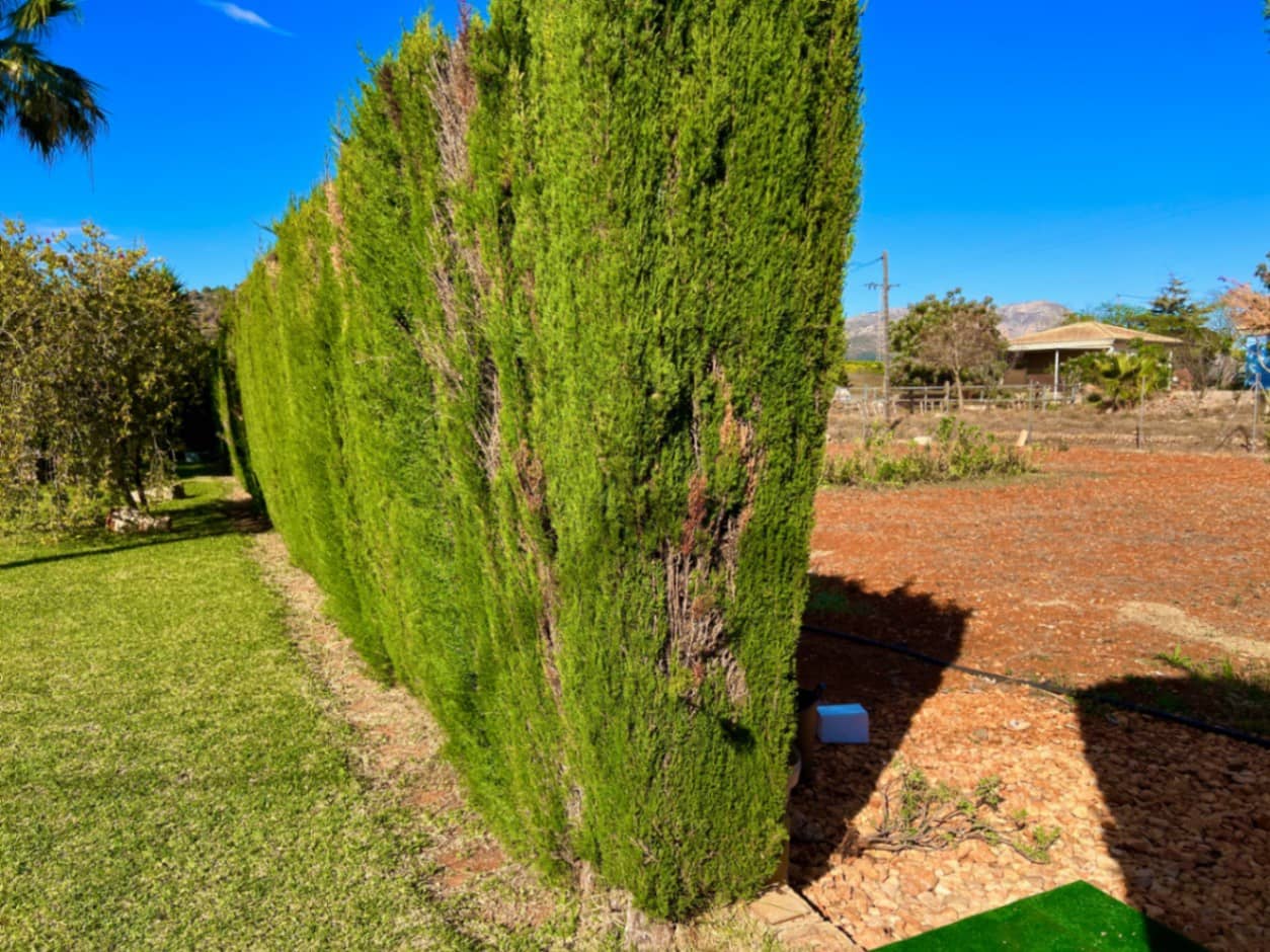 9 soveværelse Villa til salg i Pedreguer med swimmingpool garage - € 550.000 (Ref: 3913681)