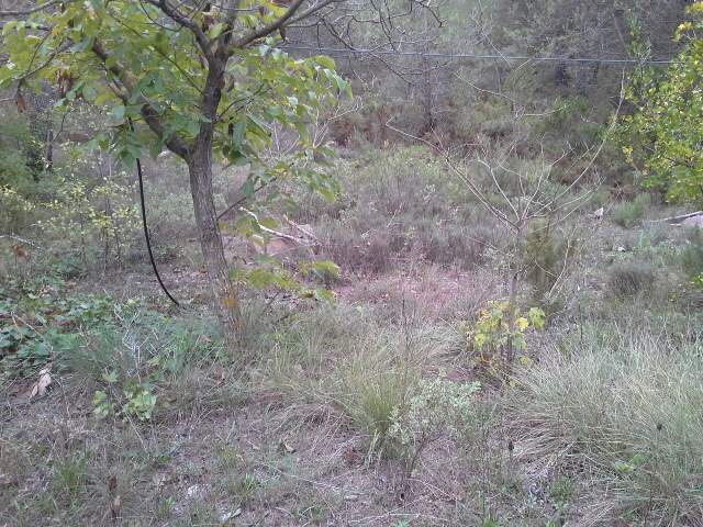 Finca/Herregård til salgs i La Vall d'Alcalà - € 100 000 (Ref: 4023725)