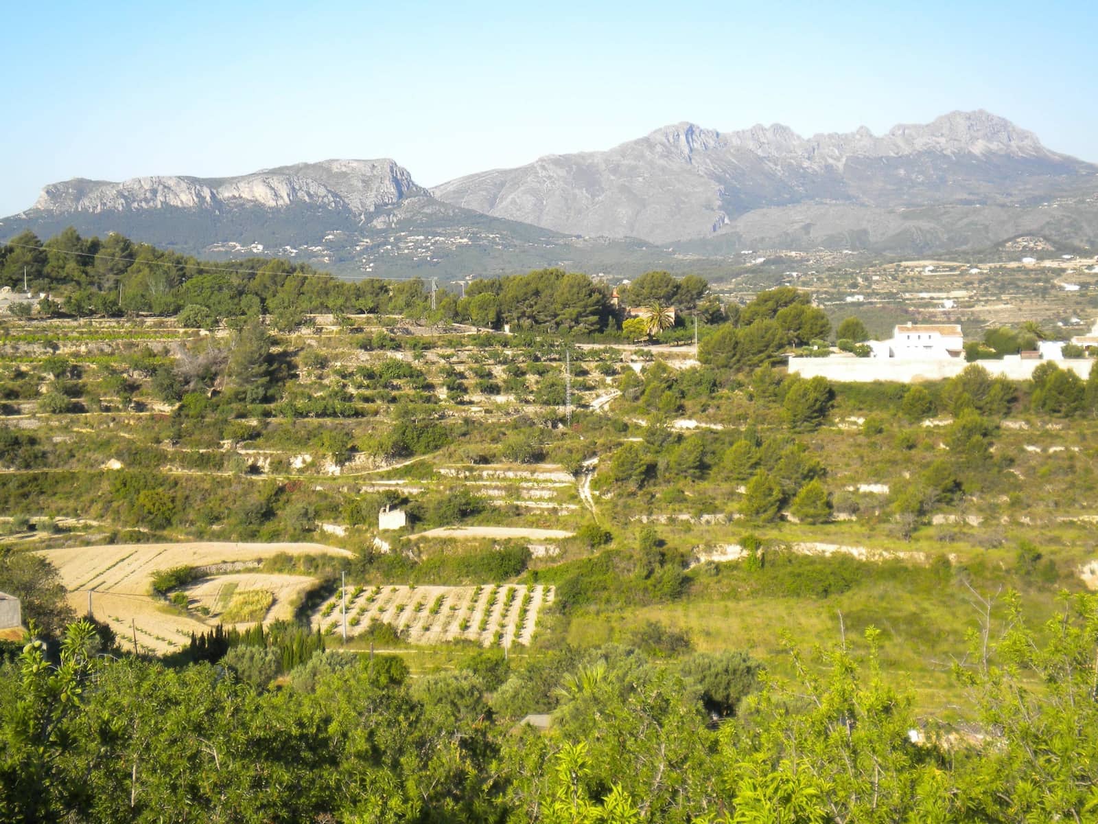 Bouwgrond te koop in Benissa - € 260.000 (Ref: 4276363)