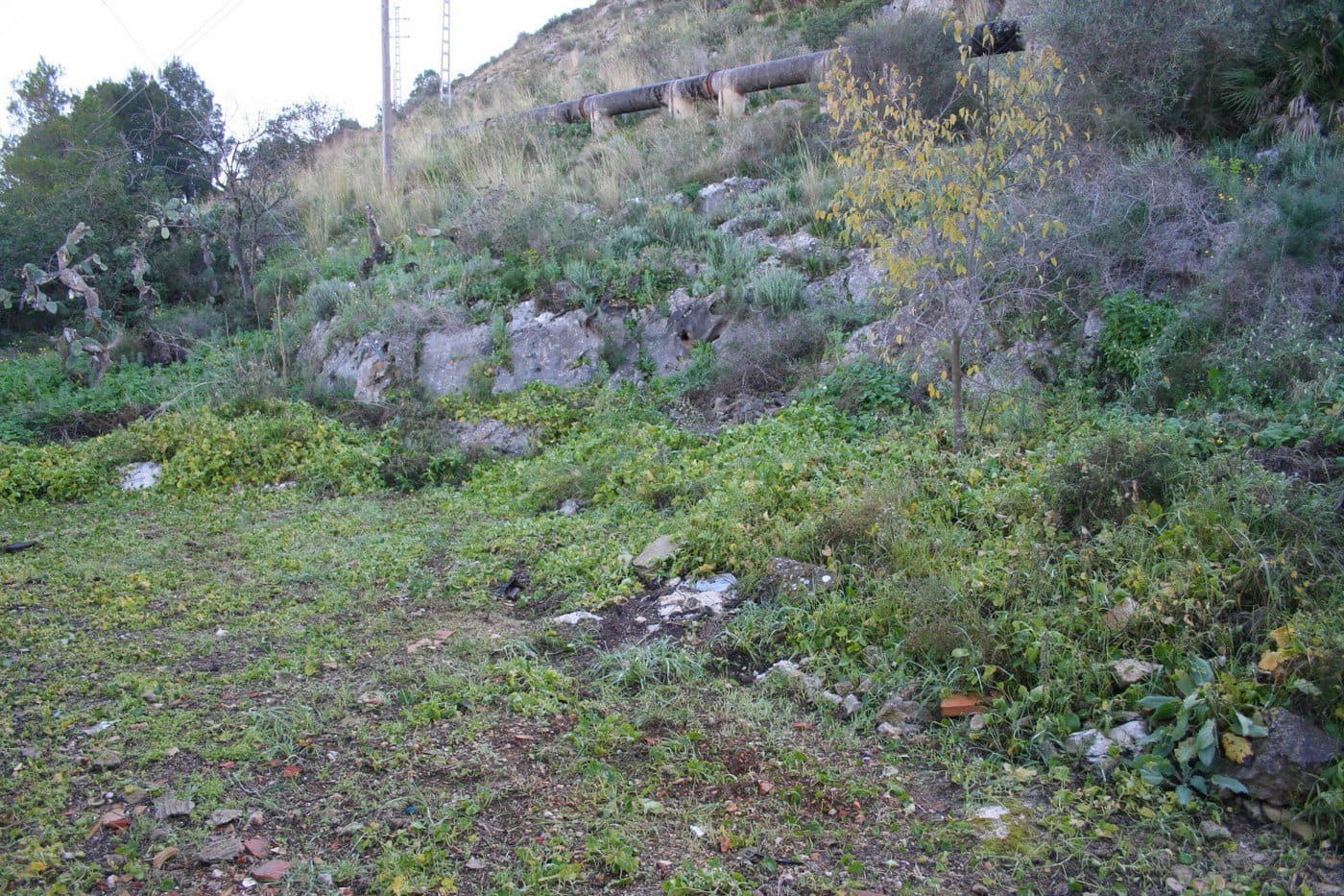 Kommersiell til salgs i Pedreguer - € 250 000 (Ref: 4389006)