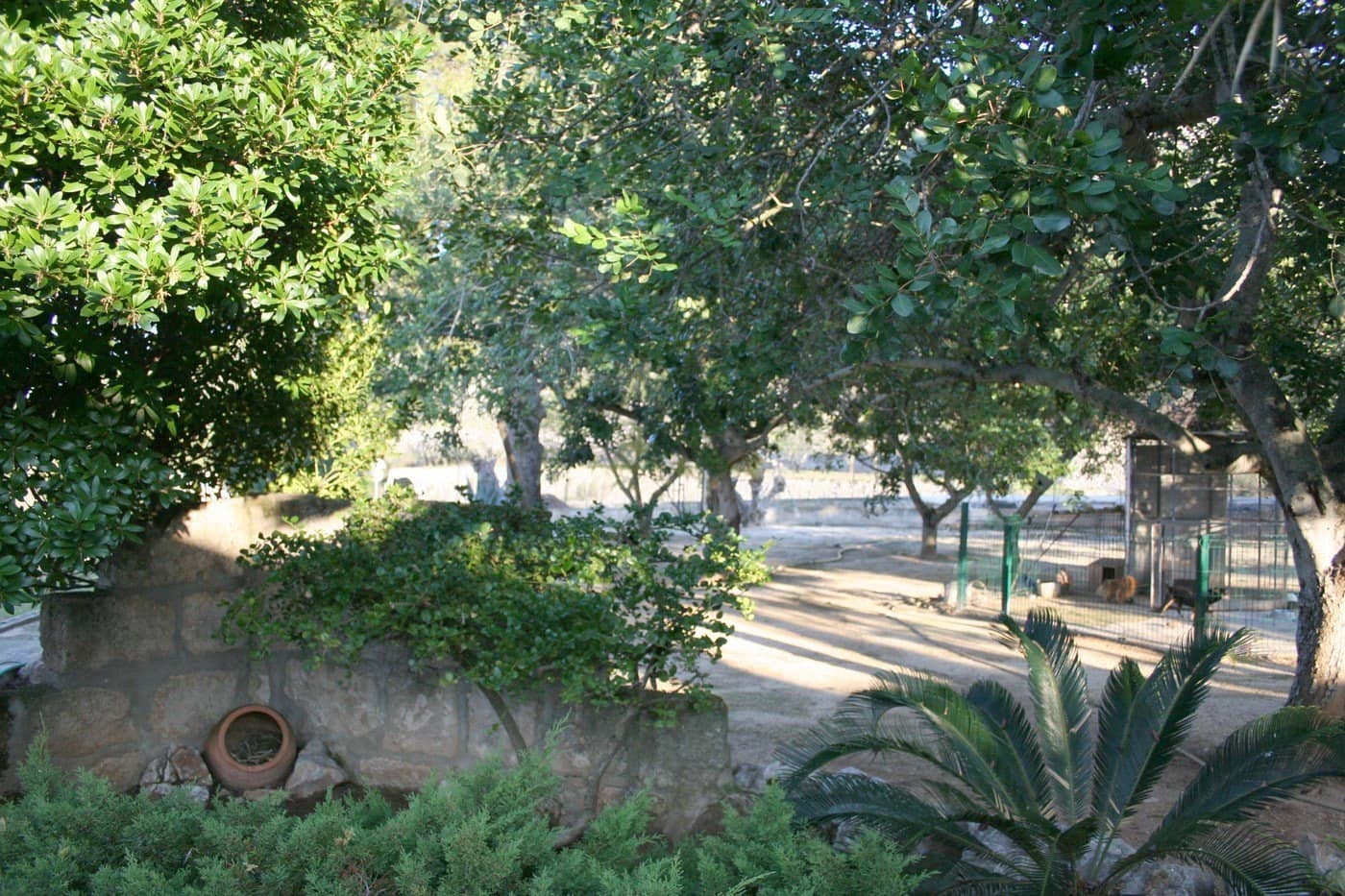 4 soveværelse Villa til salg i Monte Solana med swimmingpool garage - € 650.000 (Ref: 4485279)