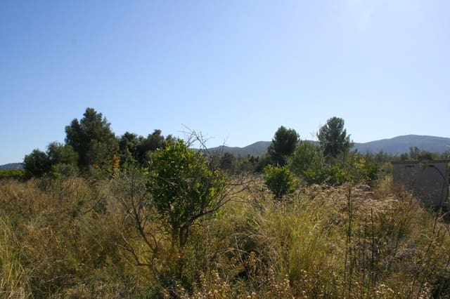 Building Plot for sale in Orba - € 160,000 (Ref: 4975982)