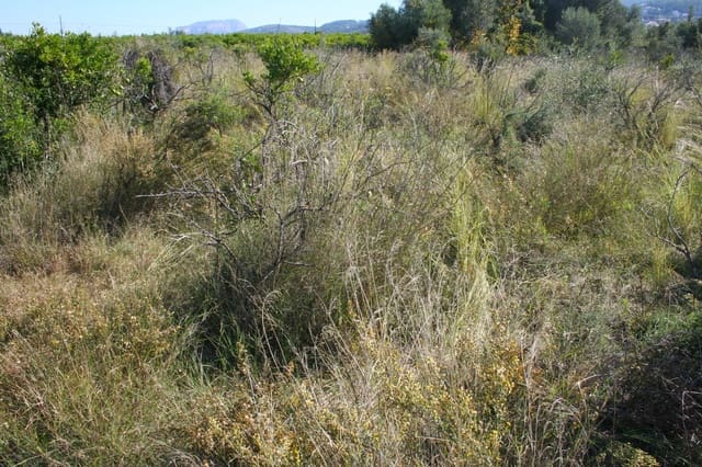 Building Plot for sale in Orba - € 160,000 (Ref: 4975982)
