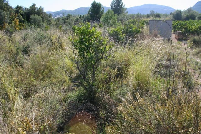 Building Plot for sale in Orba - € 160,000 (Ref: 4975982)