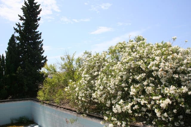 Finca/Country House for sale in Pedreguer - € 599,000 (Ref: 5321309)