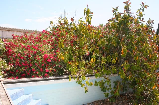 Finca/Country House for sale in Pedreguer - € 599,000 (Ref: 5321309)