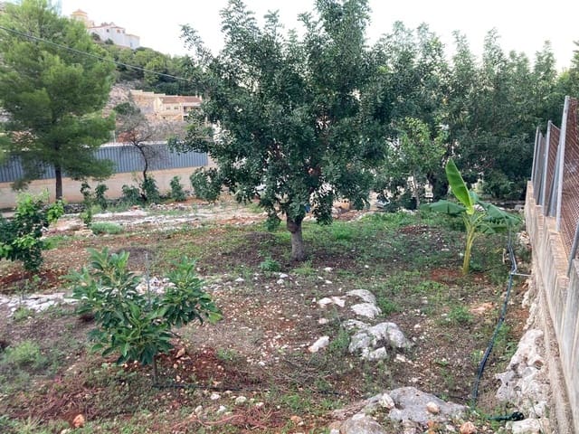 3 bedroom Finca/Country House for sale in Pedreguer - € 158,000 (Ref: 6467287)