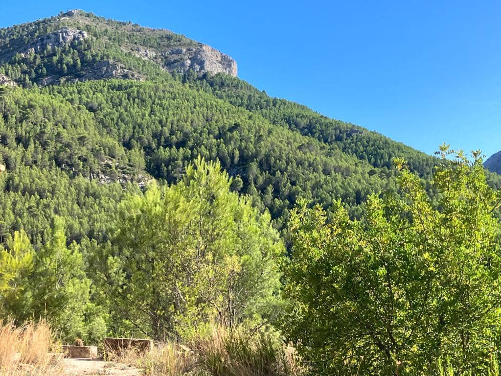 2 chambre Finca/Maison de Campagne à vendre à Vall de Laguart - 145 000 € (Ref: 8088434)