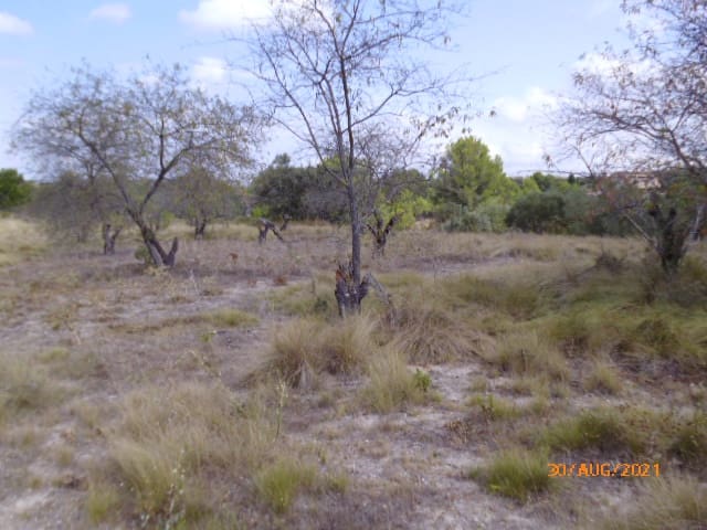 Byggegrund til salg i Castelló de Rugat - € 20.000 (Ref: 8211894)