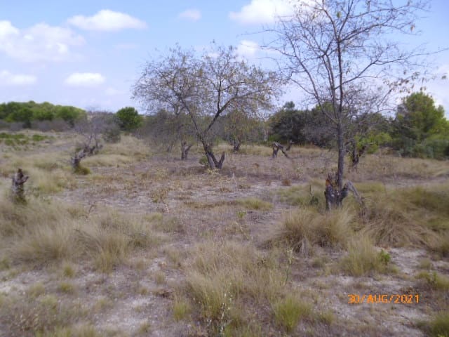 Byggegrund til salg i Castelló de Rugat - € 20.000 (Ref: 8211894)