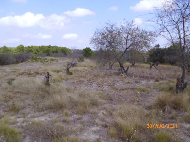 Byggegrund til salg i Castello de Rugat - € 20.000 (Ref: 8211894)