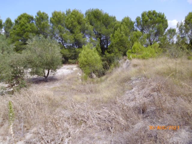 Byggegrund til salg i Castelló de Rugat - € 20.000 (Ref: 8211894)