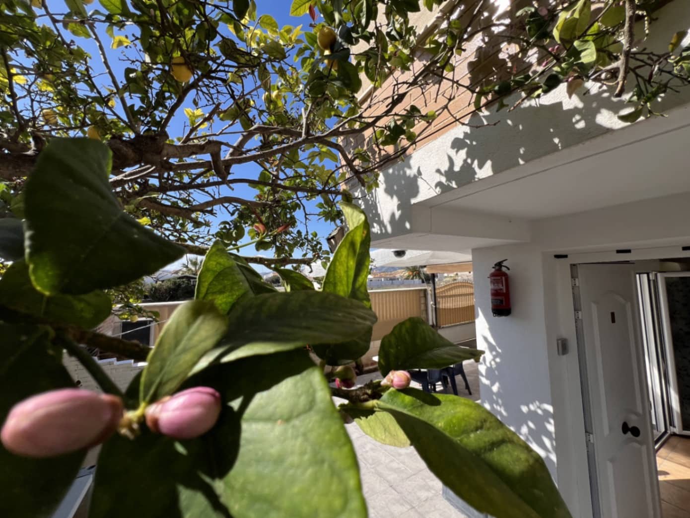 2 soveværelse Villa til salg i Oliva - € 295.000 (Ref: 8816826)