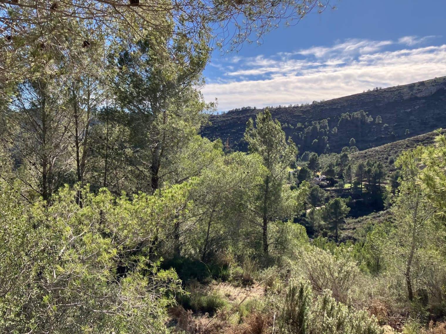 Finca/Hus på landet till salu i Pedreguer - 150 000 € (Ref: 8840049)