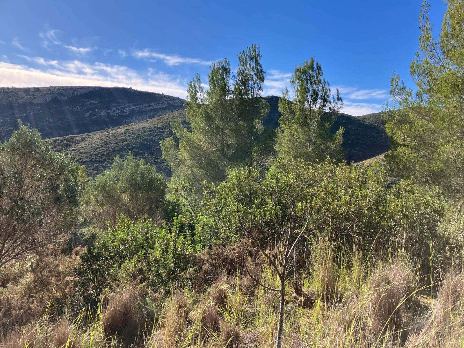 Finca/Hus på landet till salu i Pedreguer - 150 000 € (Ref: 8840049)