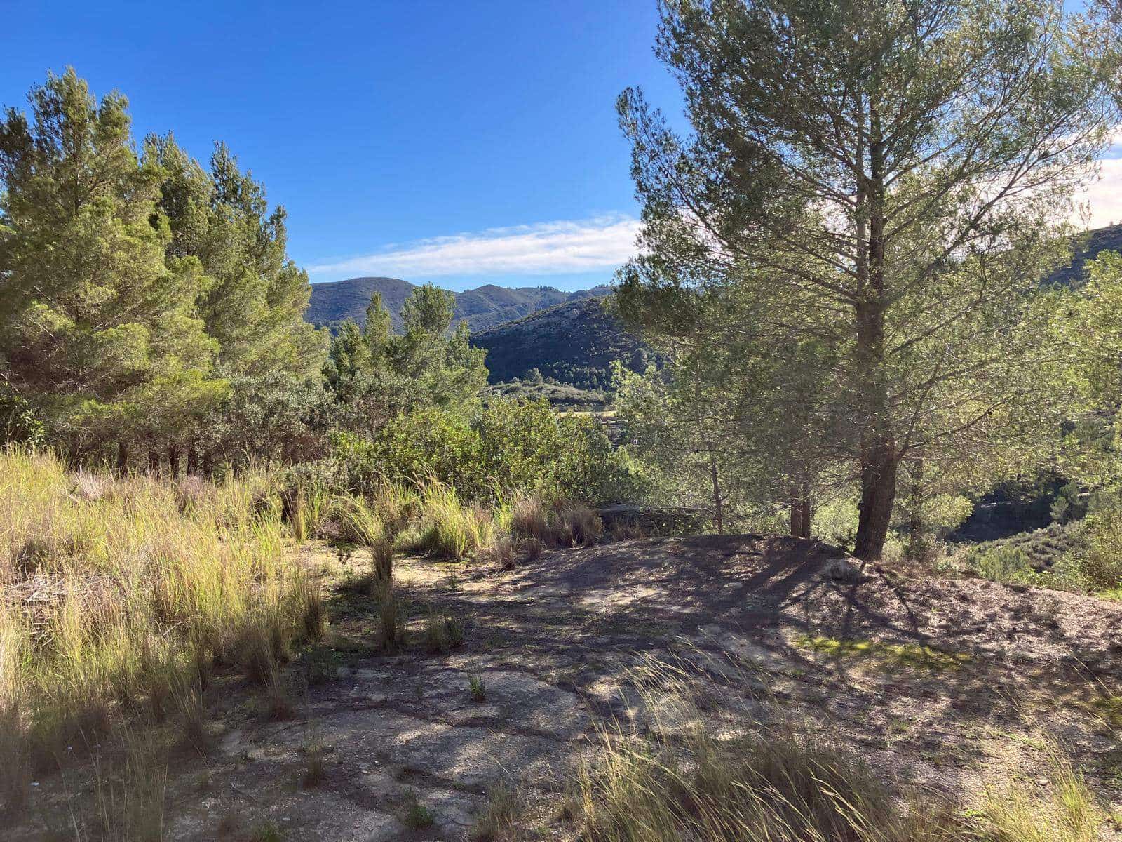 Finca/Hus på landet till salu i Pedreguer - 150 000 € (Ref: 8840049)